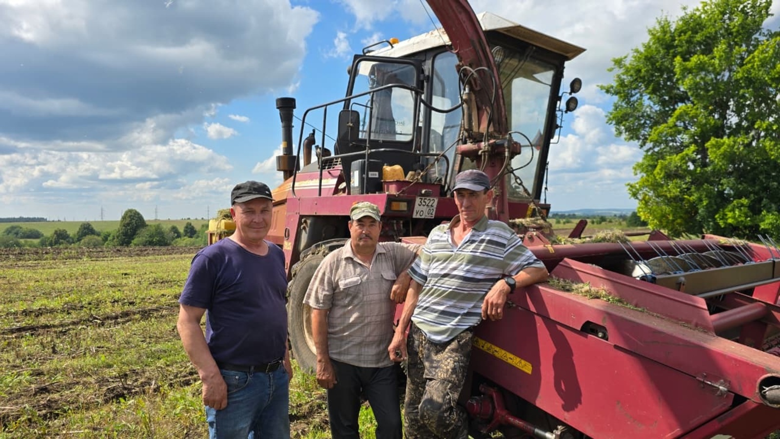 «Зелёная жатва» в разгаре
