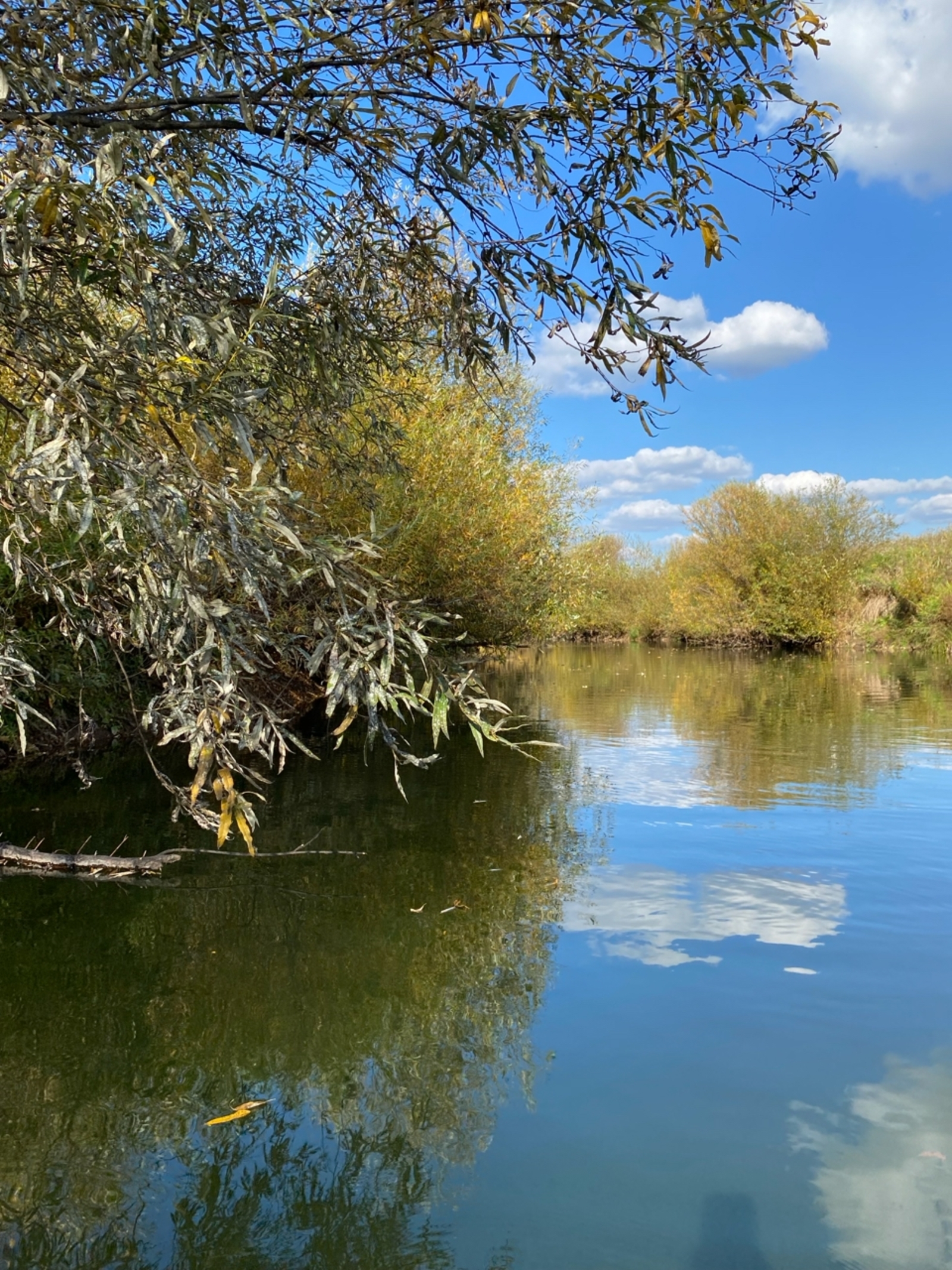 Мы еще в начале пути
